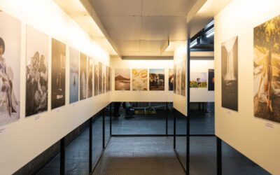 Insurance for Art Galleries, Borrowed Works, and Why the Loan Agreement Clause Matters